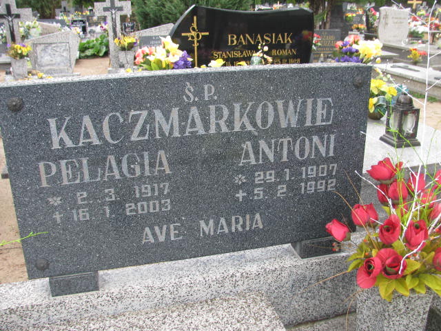 Antoni KACZMAREK 1907 Września - Grobonet - Wyszukiwarka osób pochowanych