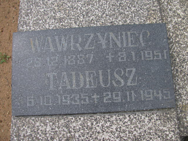 Grób DARIUSZ MALISZEWSKI