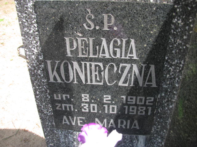 Grób WŁADYSŁAW KONIECZNY