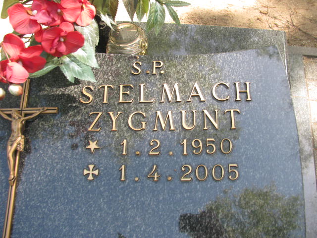 Zygmunt Stelmach 1950 Września - Grobonet - Wyszukiwarka osób pochowanych