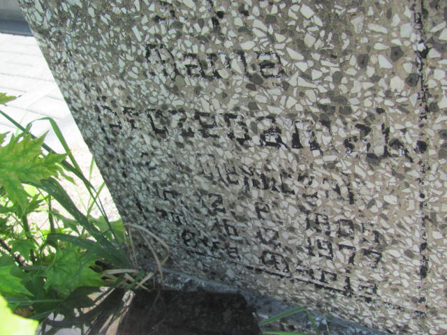 Maria SZCZEPANIAK 1905 Września - Grobonet - Wyszukiwarka osób pochowanych