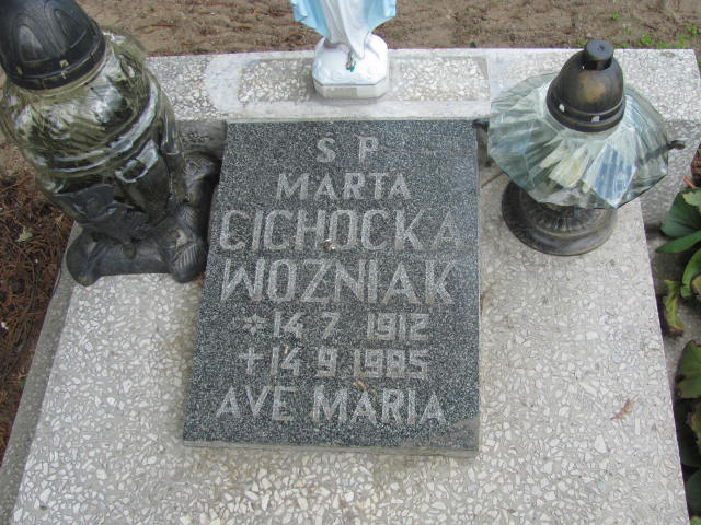 Tadeusz CICHOCKI 1936 Września - Grobonet - Wyszukiwarka osób pochowanych